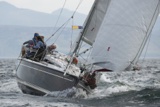 delinquent gbr8569t ss18 sat gjmc 4329 w